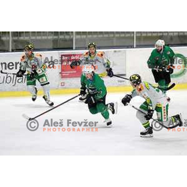 Saso Rajsar of SZ Olimpija in action during Alps League ice-hockey match between SZ Olimpija and Lustenau in Tivoli Hall, Ljubljana, Slovenia on February 22, 2019
