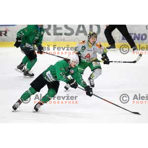 Janez Orehek of SZ Olimpija in action during Alps League ice-hockey match between SZ Olimpija and Lustenau in Tivoli Hall, Ljubljana, Slovenia on February 22, 2019