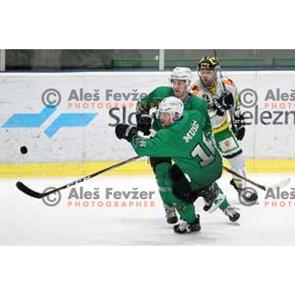 Miha Zajc and Ales Music of SZ Olimpija in action during Alps League ice-hockey match between SZ Olimpija and Lustenau in Tivoli Hall, Ljubljana, Slovenia on February 22, 2019