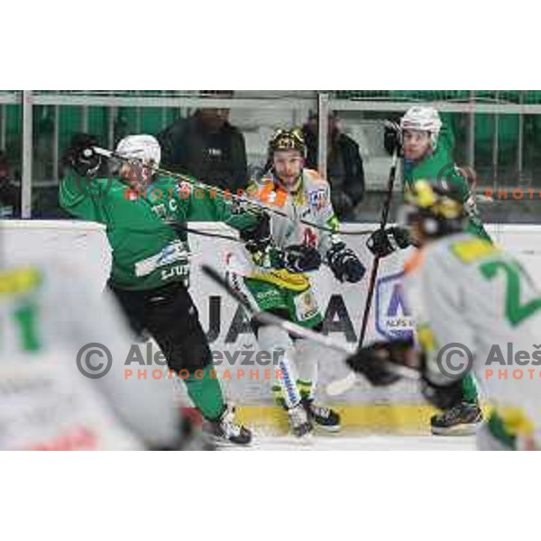Ales Music and Miha Zajc of SZ Olimpija in action during Alps League ice-hockey match between SZ Olimpija and Lustenau in Tivoli Hall, Ljubljana, Slovenia on February 22, 2019