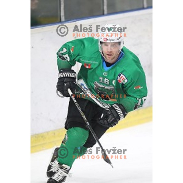 Ales Music of SZ Olimpija in action during Alps League ice-hockey match between SZ Olimpija and Lustenau in Tivoli Hall, Ljubljana, Slovenia on February 22, 2019