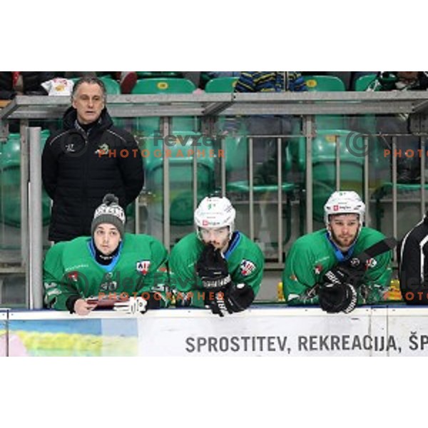 Jure Vnuk, head caoch of SZ Olimpija during Alps League ice-hockey match between SZ Olimpija and Lustenau in Tivoli Hall, Ljubljana, Slovenia on February 22, 2019