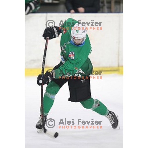 Gal Koren of SZ Olimpija in action during Alps League ice-hockey match between SZ Olimpija and Lustenau in Tivoli Hall, Ljubljana, Slovenia on February 22, 2019