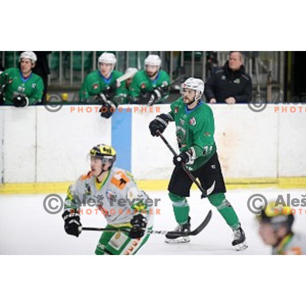 Gal Koren of SZ Olimpija in action during Alps League ice-hockey match between SZ Olimpija and Lustenau in Tivoli Hall, Ljubljana, Slovenia on February 22, 2019