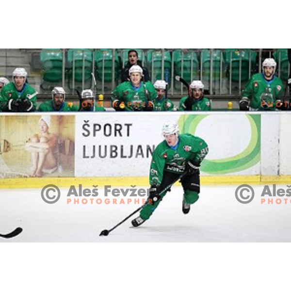 Anej Kujavec in action during Alps League ice-hockey match between SZ Olimpija and Lustenau in Tivoli Hall, Ljubljana, Slovenia on February 22, 2019