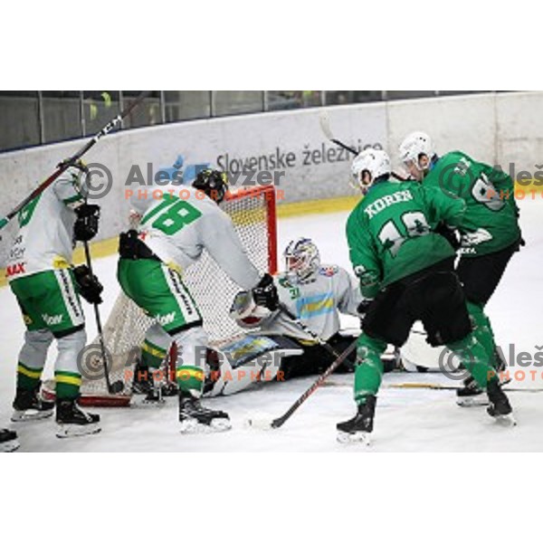 action during Alps League ice-hockey match between SZ Olimpija and Lustenau in Tivoli Hall, Ljubljana, Slovenia on February 22, 2019