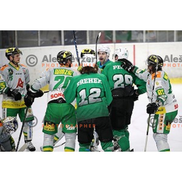 Nik Simsic, Ziga Pesut in action during Alps League ice-hockey match between SZ Olimpija and Lustenau in Tivoli Hall, Ljubljana, Slovenia on February 22, 2019