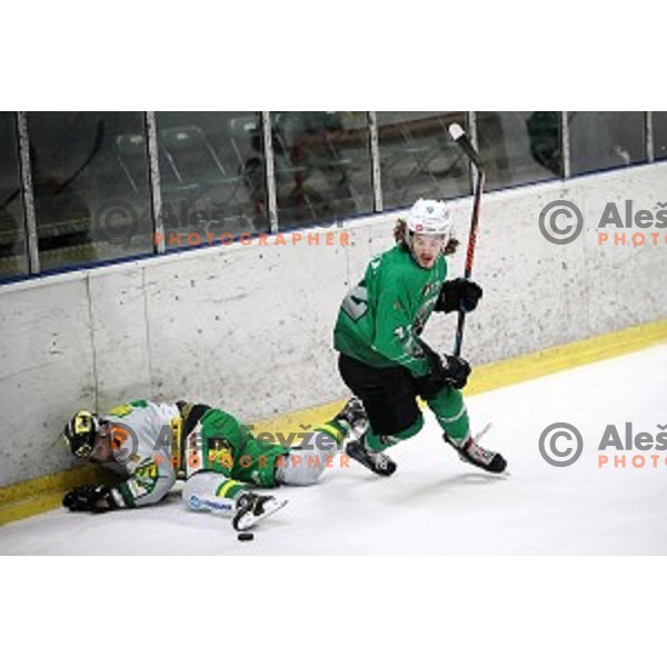 Janez Orehek in action during Alps League ice-hockey match between SZ Olimpija and Lustenau in Tivoli Hall, Ljubljana, Slovenia on February 22, 2019