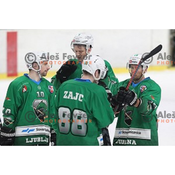Nik Simsic, Ales Kranjc in action during Alps League ice-hockey match between SZ Olimpija and Lustenau in Tivoli Hall, Ljubljana, Slovenia on February 22, 2019