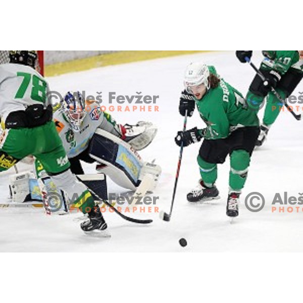 Janez Orehek of SZ Olimpija in action during Alps League ice-hockey match between SZ Olimpija and Lustenau in Tivoli Hall, Ljubljana, Slovenia on February 22, 2019