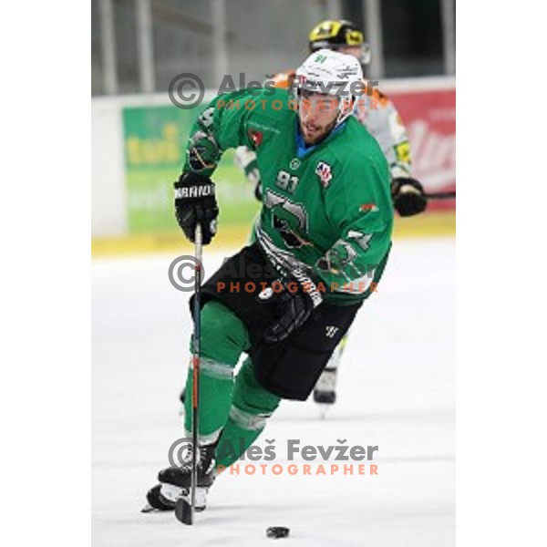 Zan Jezovsek of SZ Olimpija in action during Alps League ice-hockey match between SZ Olimpija and Lustenau in Tivoli Hall, Ljubljana, Slovenia on February 22, 2019