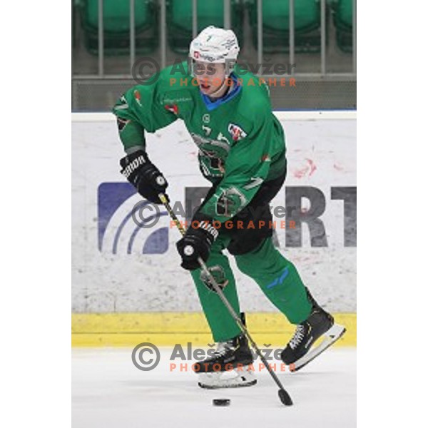 Luka Zorko in action during Alps League ice-hockey match between SZ Olimpija and Lustenau in Tivoli Hall, Ljubljana, Slovenia on February 22, 2019