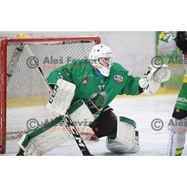 Zan Us of SZ Olimpija in action during Alps League ice-hockey match between SZ Olimpija and Lustenau in Tivoli Hall, Ljubljana, Slovenia on February 22, 2019