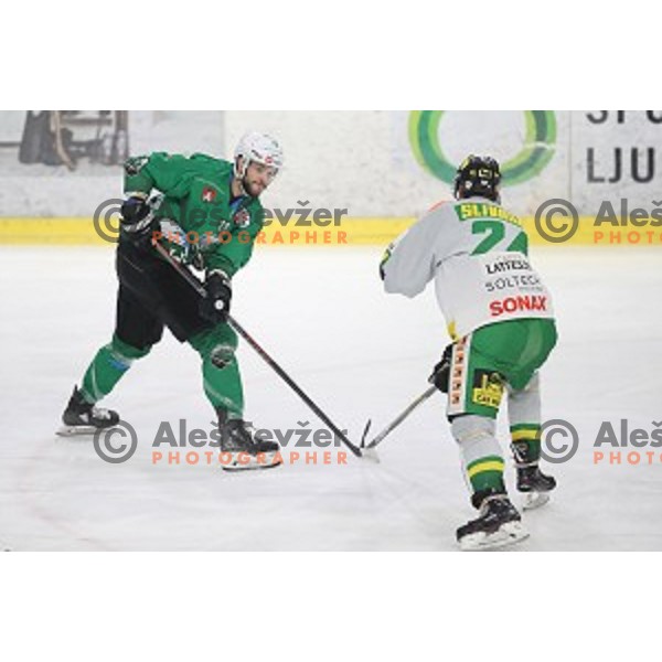 Gal Koren of SZ Olimpija in action during Alps League ice-hockey match between SZ Olimpija and Lustenau in Tivoli Hall, Ljubljana, Slovenia on February 22, 2019