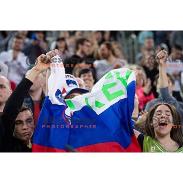 Fans in action during FIBA Basketball World Cup 2019 European qualifiers basketball match between Slovenia and Ukraine, Stozice Arena, Ljubljana, Slovenia on February 26, 2019