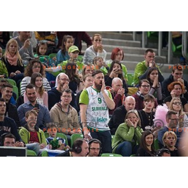 Fans in action during FIBA Basketball World Cup 2019 European qualifiers basketball match between Slovenia and Ukraine, Stozice Arena, Ljubljana, Slovenia on February 26, 2019