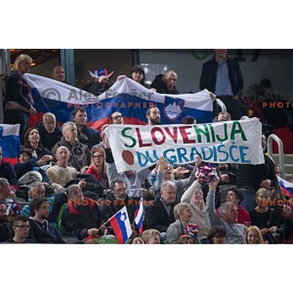 Fans in action during FIBA Basketball World Cup 2019 European qualifiers basketball match between Slovenia and Ukraine, Stozice Arena, Ljubljana, Slovenia on February 26, 2019
