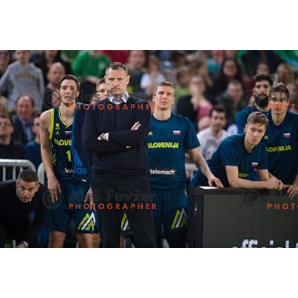 Rado Trifunovic in action during FIBA Basketball World Cup 2019 European qualifiers basketball match between Slovenia and Ukraine, Stozice Arena, Ljubljana, Slovenia on February 26, 2019