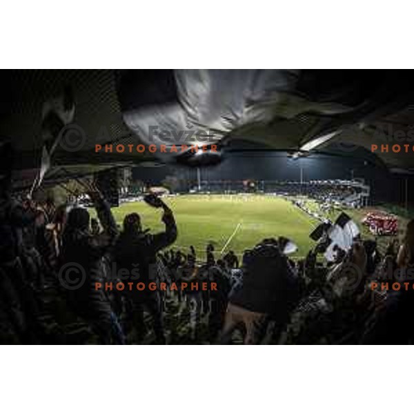 Black Gringos during soccer match between Mura and Domzale, Round 21 of PLTS 2018/19, played in Fazanerija, Murska Sobota, Slovenia on March 2, 2019