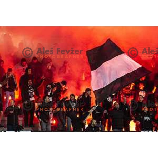 Black Gringos during soccer match between Mura and Domzale, Round 21 of PLTS 2018/19, played in Fazanerija, Murska Sobota, Slovenia on March 2, 2019