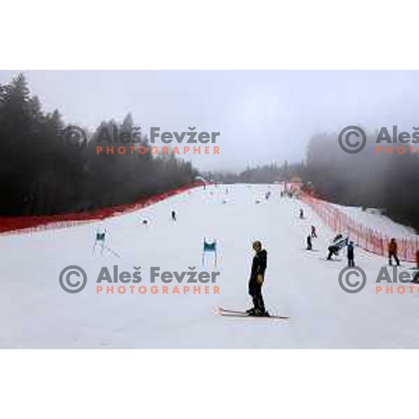 Course inspection before FIS Audi World Cup Giant Slalom for 58. Vitranc Cup in Kranjska Gora, Slovenia on March 9, 2019