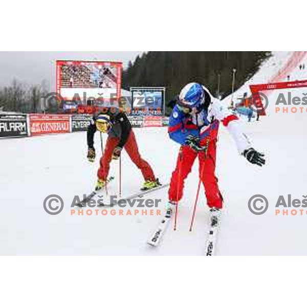 Alexis Pinturault (FRA) during Course inspection before FIS Audi World Cup Giant Slalom for 58. Vitranc Cup in Kranjska Gora, Slovenia on March 9, 2019