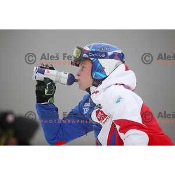 Alexis Pinturault (FRA) during Course inspection before FIS Audi World Cup Giant Slalom for 58. Vitranc Cup in Kranjska Gora, Slovenia on March 9, 2019