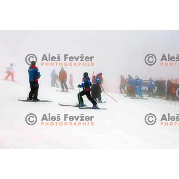 Course inspection before FIS Audi World Cup Giant Slalom for 58. Vitranc Cup in Kranjska Gora, Slovenia on March 9, 2019