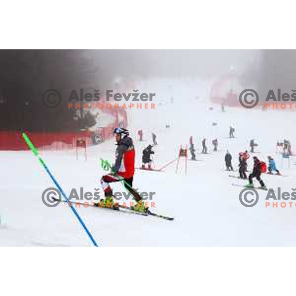 Course inspection before FIS Audi World Cup Giant Slalom for 58. Vitranc Cup in Kranjska Gora, Slovenia on March 9, 2019