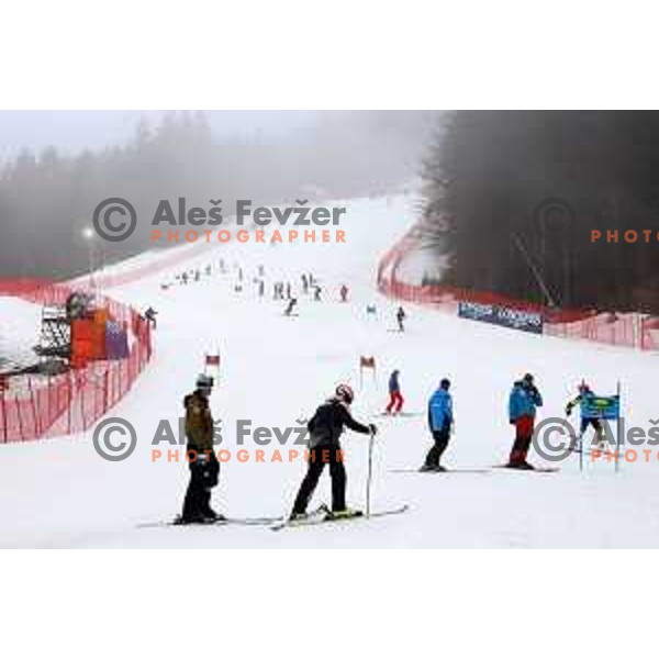 Course inspection before FIS Audi World Cup Giant Slalom for 58. Vitranc Cup in Kranjska Gora, Slovenia on March 9, 2019