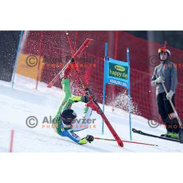 skiing in the first run of FIS Audi World Cup Giant Slalom for 58. Vitranc Cup in Kranjska Gora, Slovenia on March 9, 2019