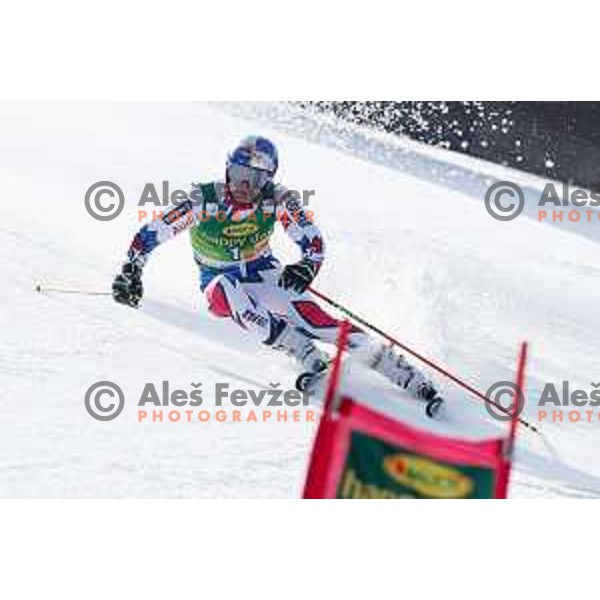 skiing in the first run of FIS Audi World Cup Giant Slalom for 58. Vitranc Cup in Kranjska Gora, Slovenia on March 9, 2019