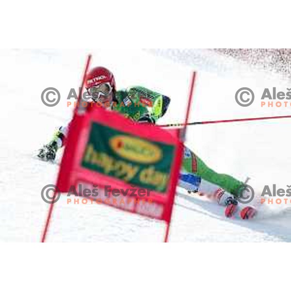 Zan Kranjec skiing in the first run of FIS Audi World Cup Giant Slalom for 58. Vitranc Cup in Kranjska Gora, Slovenia on March 9, 2019