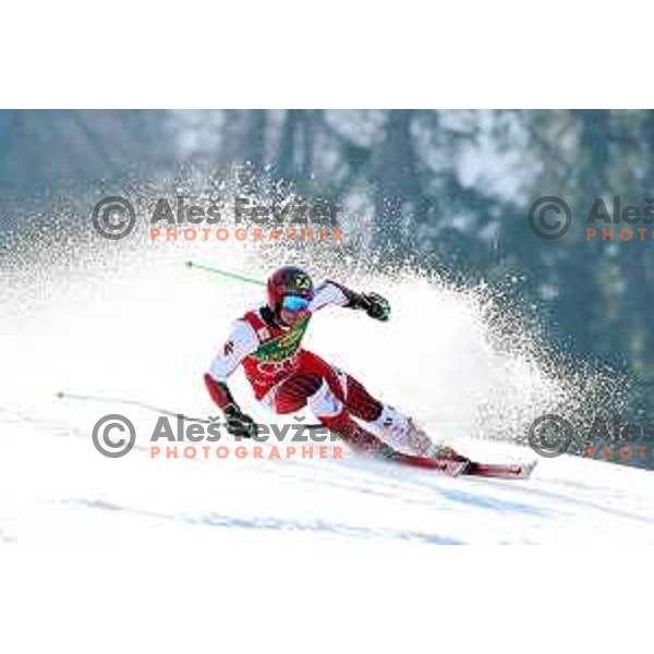 Marcel Hirscher skiing in the first run of FIS Audi World Cup Giant Slalom for 58. Vitranc Cup in Kranjska Gora, Slovenia on March 9, 2019