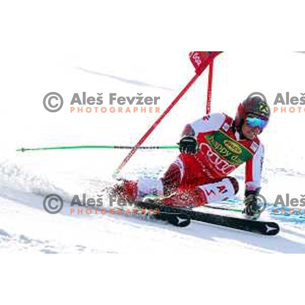 skiing in the first run of FIS Audi World Cup Giant Slalom for 58. Vitranc Cup in Kranjska Gora, Slovenia on March 9, 2019
