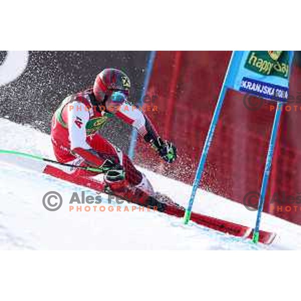 Marcel Hirscher skiing in the first run of FIS Audi World Cup Giant Slalom for 58. Vitranc Cup in Kranjska Gora, Slovenia on March 9, 2019