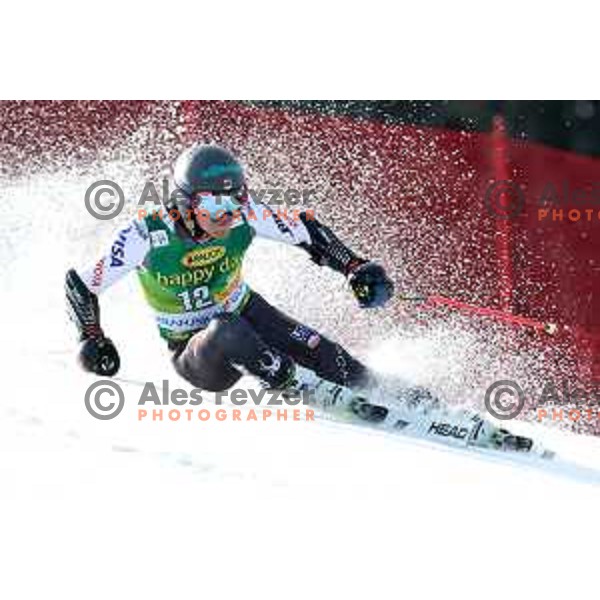 skiing in the first run of FIS Audi World Cup Giant Slalom for 58. Vitranc Cup in Kranjska Gora, Slovenia on March 9, 2019