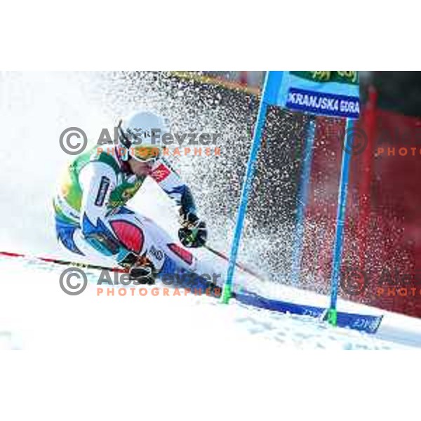 skiing in the first run of FIS Audi World Cup Giant Slalom for 58. Vitranc Cup in Kranjska Gora, Slovenia on March 9, 2019