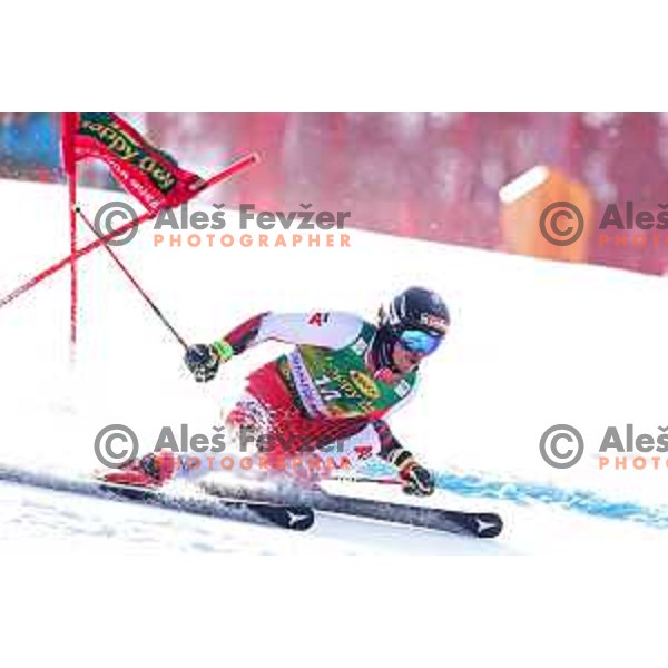 Manuel Feller skiing in the first run of FIS Audi World Cup Giant Slalom for 58. Vitranc Cup in Kranjska Gora, Slovenia on March 9, 2019
