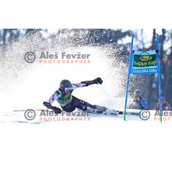 skiing in the first run of FIS Audi World Cup Giant Slalom for 58. Vitranc Cup in Kranjska Gora, Slovenia on March 9, 2019