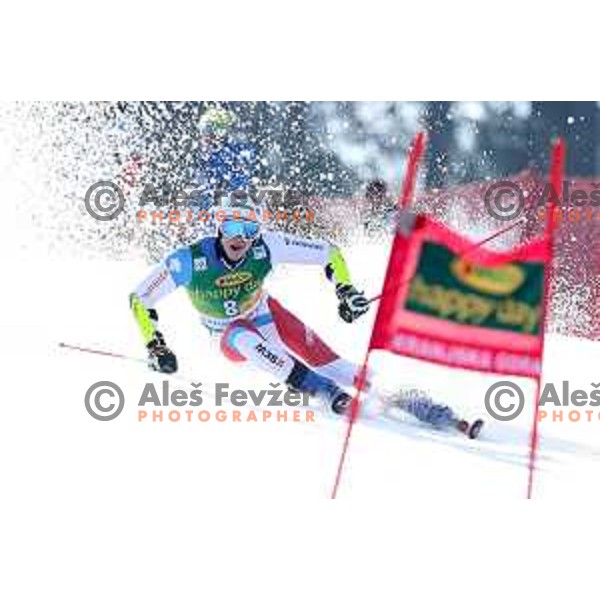 skiing in the first run of FIS Audi World Cup Giant Slalom for 58. Vitranc Cup in Kranjska Gora, Slovenia on March 9, 2019