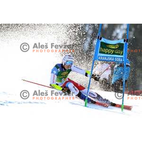 skiing in the first run of FIS Audi World Cup Giant Slalom for 58. Vitranc Cup in Kranjska Gora, Slovenia on March 9, 2019