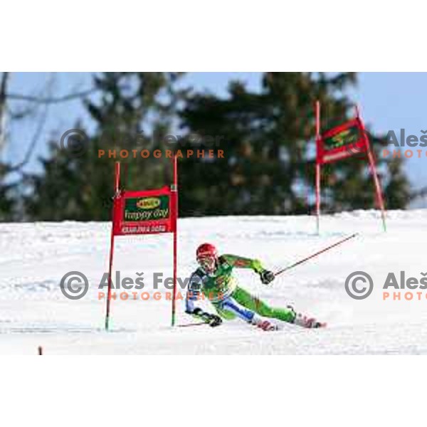 Zan Kranjec skiing in the second run of FIS Audi World Cup Giant Slalom for 58. Vitranc Cup in Kranjska Gora, Slovenia on March 9, 2019