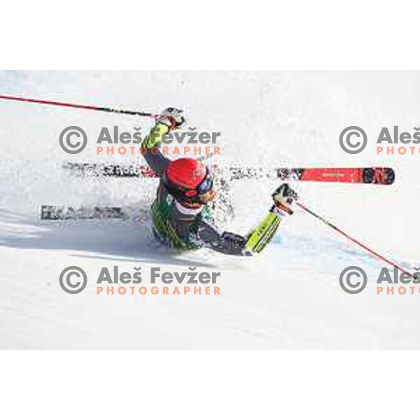 Audi FIS World Cup Giant Slalom for 58. Vitranc Cup in Kranjska Gora, Slovenia on March 9, 2019