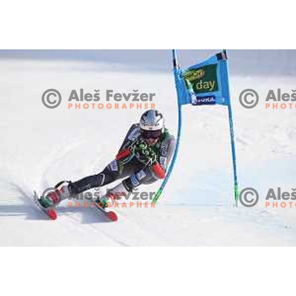 Henrik Kristoffersen, winner of Audi FIS World Cup Giant Slalom for 58. Vitranc Cup in Kranjska Gora, Slovenia on March 9, 2019