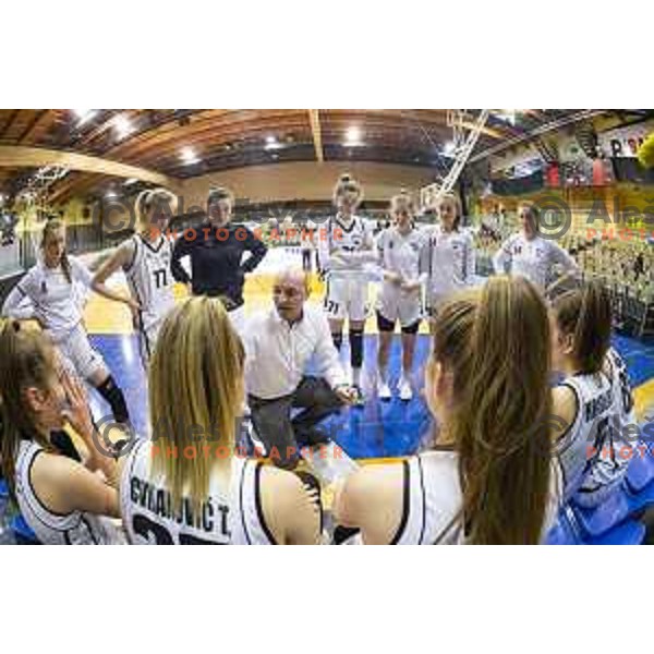 Ziga Ravnikar, head coach of ZKK Maribor during women basketball match between ZKK Maribor and Ilirija, semi-final cup 2019, played in Dvorana Tabor, Maribor, Slovenia on March 9, 2019
