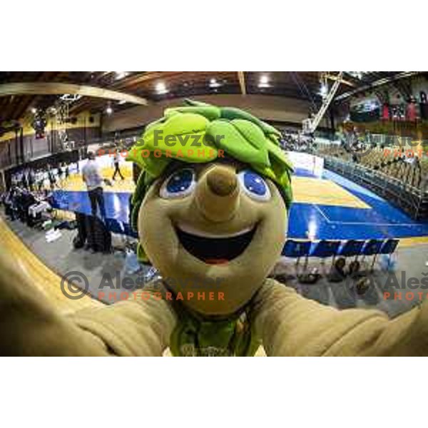 Lipko during women basketball match between ZKK Maribor and Ilirija, semi-final cup 2019, played in Dvorana Tabor, Maribor, Slovenia on March 9, 2019