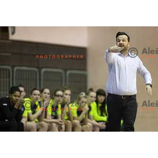 Damir Grgic, head coach of ZKK Cinkarna Celje during women basketball match between ZKK Cinkarna Celje and Triglav, semi-final cup 2019, played in Dvorana Tabor, Maribor, Slovenia on March 9, 2019