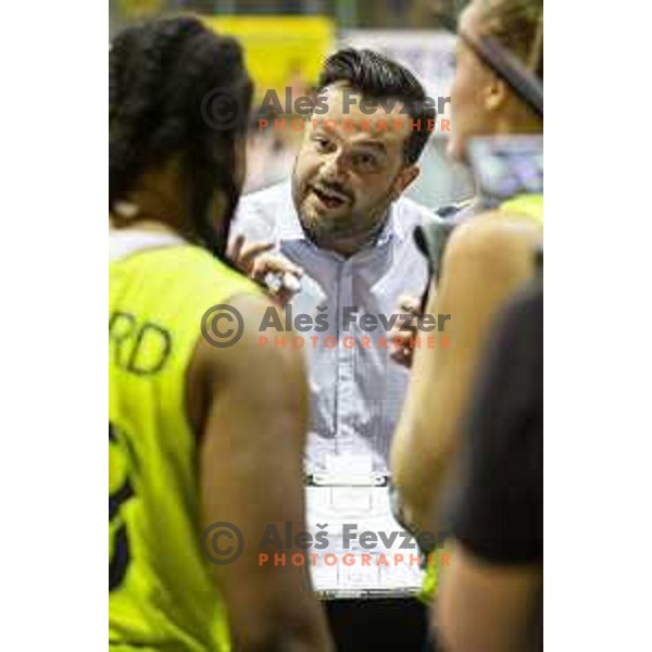 Damir Grgic, head coach of ZKK Cinkarna Celje during women basketball match between ZKK Cinkarna Celje and Triglav, semi-final cup 2019, played in Dvorana Tabor, Maribor, Slovenia on March 9, 2019