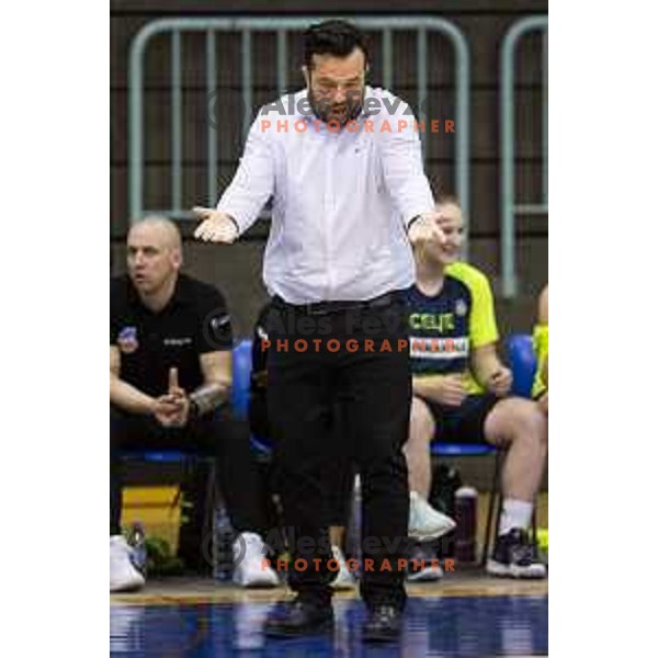 Damir Grgic, head coach of ZKK Cinkarna Celje during women basketball match between ZKK Cinkarna Celje and Triglav, semi-final cup 2019, played in Dvorana Tabor, Maribor, Slovenia on March 9, 2019